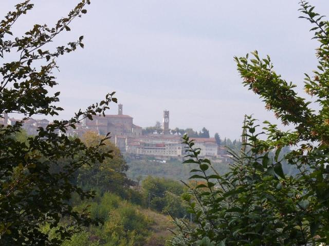Cascina Bringin Apartment Mondovi Bagian luar foto